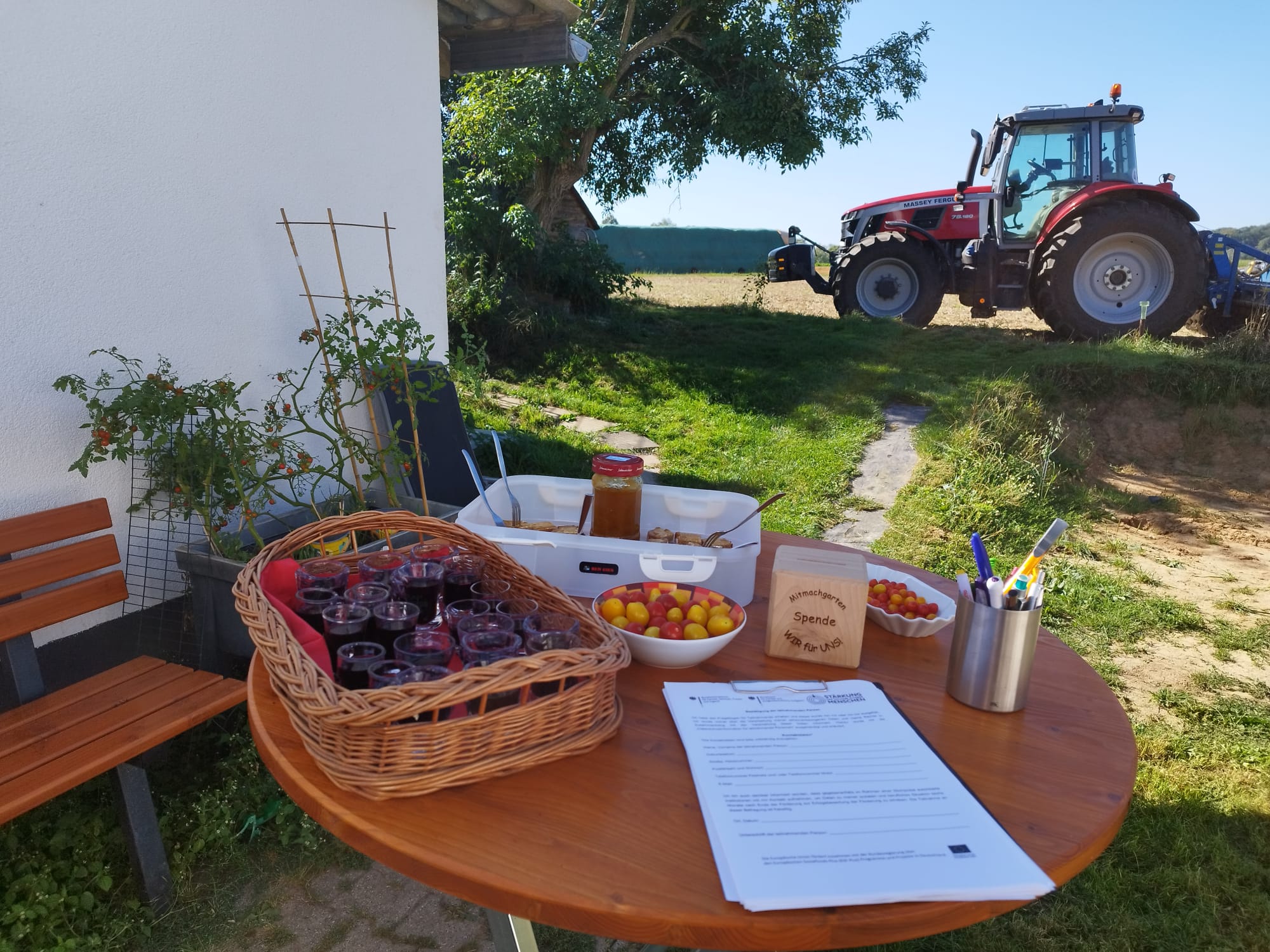 Mehr über den Artikel erfahren Besucherandrang beim Mitmachgarten von WIR für UNS!